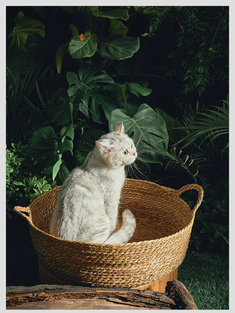 Pure Manual Rattan Woven Cat Nest, Four Seasons, General Dandelion, Cool Bed, Cat Scratch Board, Pet Products