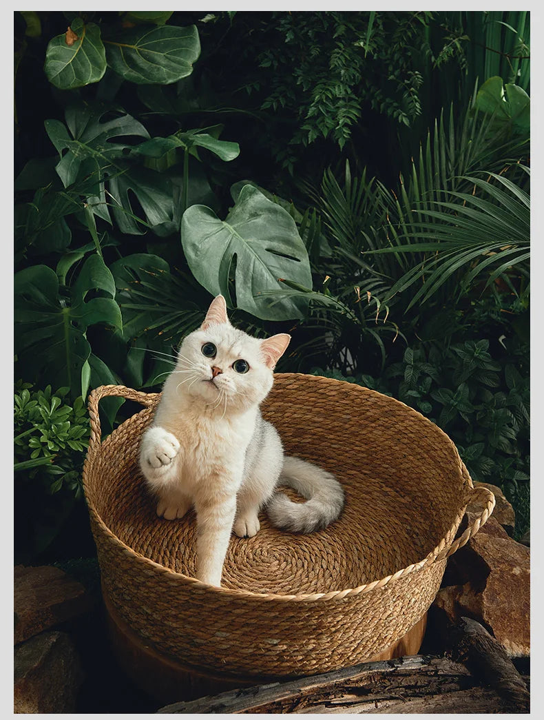 Pure Manual Rattan Woven Cat Nest, Four Seasons, General Dandelion, Cool Bed, Cat Scratch Board, Pet Products